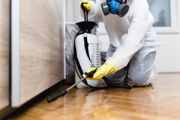 Best Cockroach Control Services  in Wellton, AZ