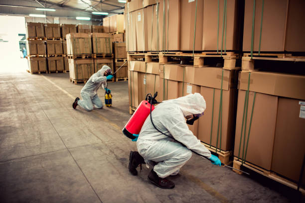 Best Ant Control Services  in Wellton, AZ