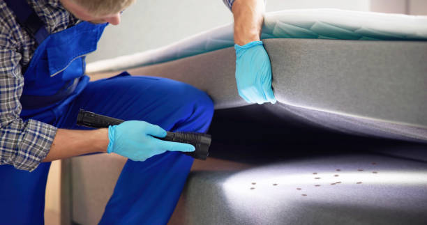 Pest Control Cost in Wellton, AZ