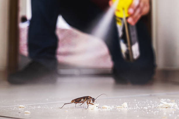 Pest Control for Restaurants in Wellton, AZ