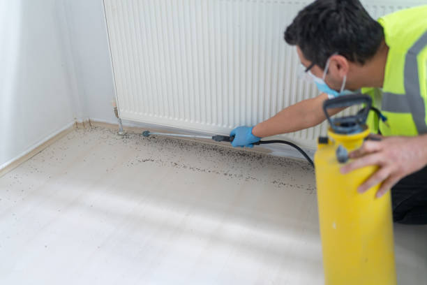 Best Pest Control Near Me  in Wellton, AZ